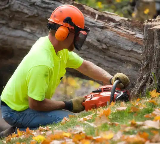 tree services Atoka